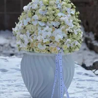 تاج گل باکس گل دسته گل|خدمات پذیرایی، مراسم|مراغه, |دیوار