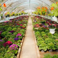 شراکت پروژه و شرکت