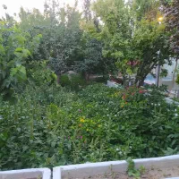 باغ در دل اصفهان استخر آبگرم|اجارهٔ کوتاه‌مدت ویلا و باغ|اصفهان, باغ دریاچه|دیوار