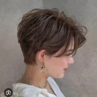 مدل لیر و پیکسی