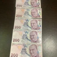 لیر کلکسیونی زیبا