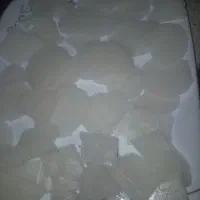 نباتی خانگی|خوردنی و آشامیدنی|رشت, سلیمانداراب|دیوار