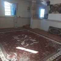 سوییت در دلند نزدیک جنگل