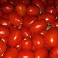 گوجه|خوردنی و آشامیدنی|قم, نخودی|دیوار