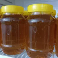 عسل|خوردنی و آشامیدنی|رستم, |دیوار