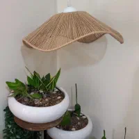 لوستر ترند و پینترستی