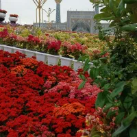 کاروان مشهدالرضاباقطار|تور و چارتر|اهواز, کوی علوی|دیوار