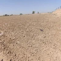 زمین کشاورزی