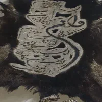 ون یکاد روی پوست بز