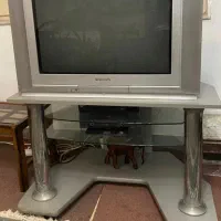 تلویزیون