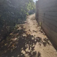 زمین زراعی|فروش زمین و ملک کلنگی|مهریز, |دیوار