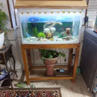 اکواریوم باپایه