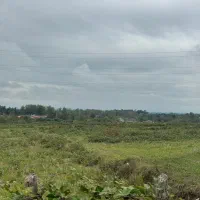 مزرعه سنتی ۳۳۶۰متری/راه سر مزرعه/اب دارد|فروش دفتر صنعتی، کشاورزی، تجاری|رضوانشهر, |دیوار