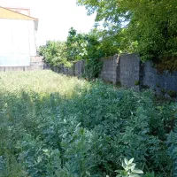 250 متر باغی خیابان سردار جنگل 1400