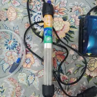 وسایل اکواریوم|ماهی|ری, شهادت|دیوار