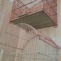 قفس پرنده