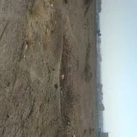 فروش   زمین های هکتاری  کاربری  صنعتی البرز|فروش دفتر صنعتی، کشاورزی، تجاری|کرج, کمال‌شهر|دیوار