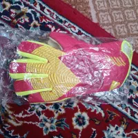 دستکش دروازه بان|ورزشهای توپی|اقبالیه, |دیوار