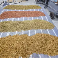 شورکاری و تفت انواع تخمه و پسته