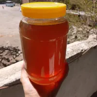 عسل طبیعی وحشی شیرین بدون شکر