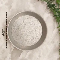 پییتزا پیتزا قالب پیتزا