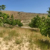 زمین باغی سپیدان|فروش دفتر صنعتی، کشاورزی، تجاری|سپیدان, |دیوار