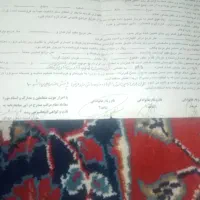 زمین-صندوقی