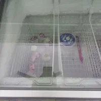 ویترین مغازه و یخچال|فروشگاه و مغازه|گنبد کاووس, |دیوار