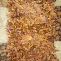 پادری،طرح،شگی