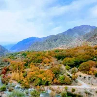 کود پتاس|خدمات باغبانی و درختکاری|جیرفت, |دیوار