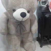 شاسخین  عروسک