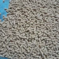 دان مرغ گوشتی و تخم گذارصنعتی(ماهی.گاو.گوسفند)|حیوانات مزرعه|رشت, احمد گوراب|دیوار