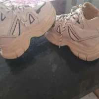 کفش اسپرت|کیف، کفش، کمربند|اندیمشک, |دیوار