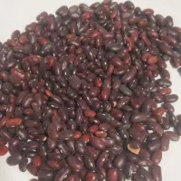 لوبیا قرمز|خوردنی و آشامیدنی|شیراز, شهرک بهشتی|دیوار