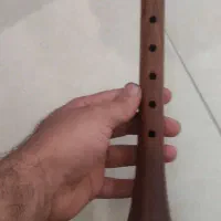 سرنا حرفه ای