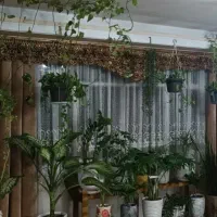 استند دوطبقه گل اپارتمانی