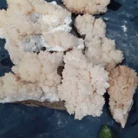 سنگ اکواریوم وتزیینی