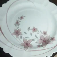 آرکوپال بسیارشیک