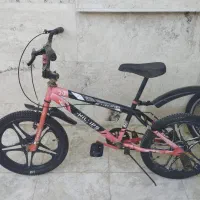 دوچرخه حرفه ای