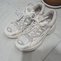 کتونی ساندرو