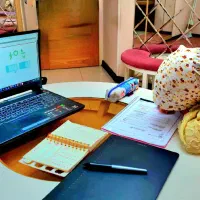 تدریس خصوصی ریاضی(خانم) حضوری/آنلاین