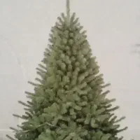 درخت کریسمس با جعبه