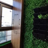 فروش عمده دیوار سبز گرین وال با ضمانت