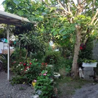 فروش باغ و ویلا کلنگی به متراژ ۳۳۵متردارای سند|فروش زمین و ملک کلنگی|دابودشت, |دیوار