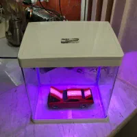 اکواریوم شرکتی مجهز