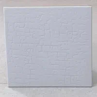 سرامیک کف سرویس و بام و پشت کابینت