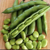 سبزی آش و پلو