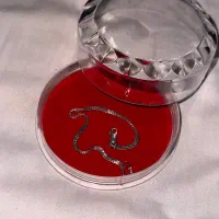 دستبند نقره