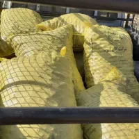 خرید فروش گردو از ضعیف گرفته تا خوب درجه یک|خوردنی و آشامیدنی|درب بهشت, |دیوار