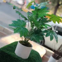 درختچه های مصنوعی‌.گیرین وال .چمن مصنوعی|گل مصنوعی|اصفهان, شهرستان|دیوار